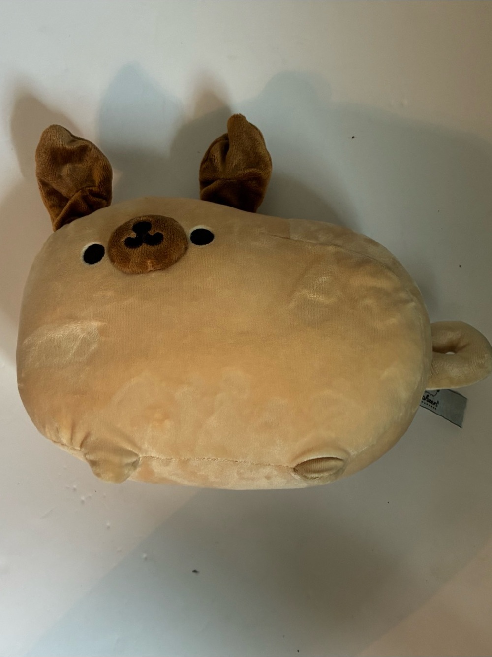 Pusheen Plushie Pugsheen